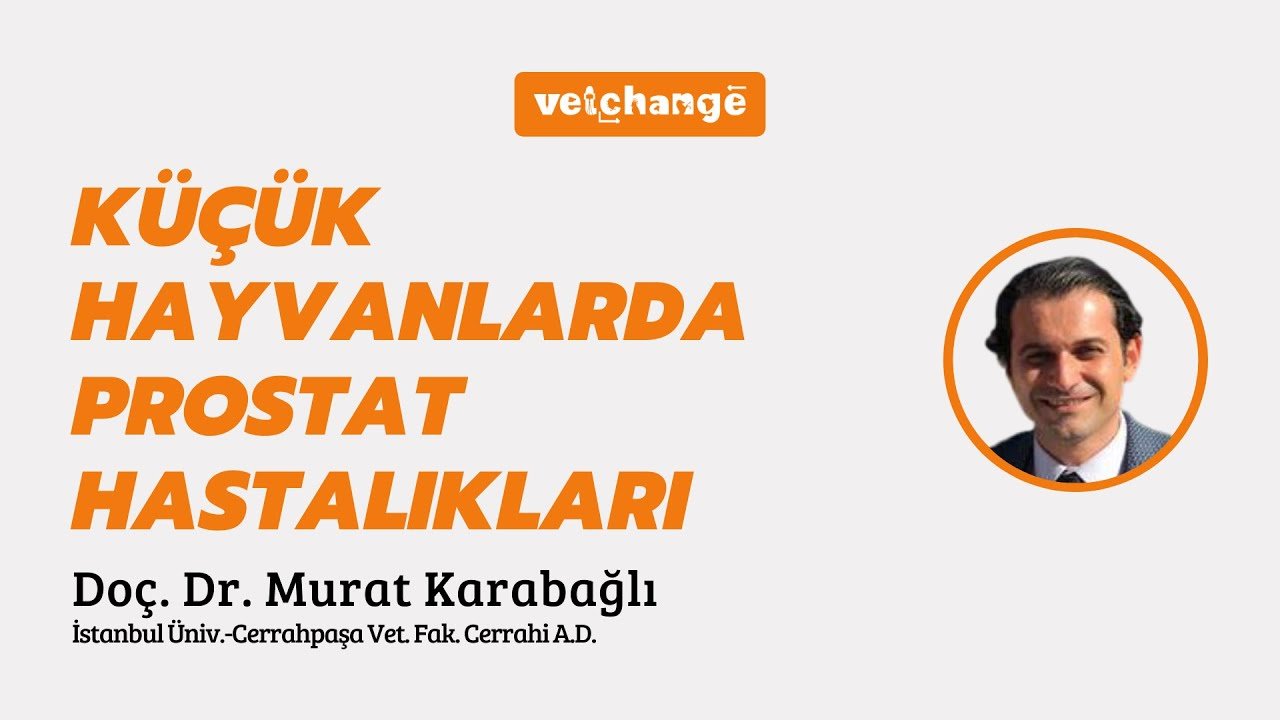 Küçük Hayvanlarda Prostat Hastalıkları - Doç. Dr. Murat Karabağlı